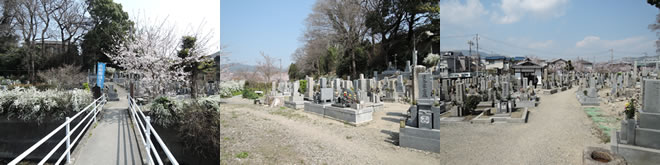 小浜共同墓地の概要