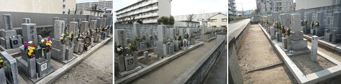 尾浜墓地の聖地