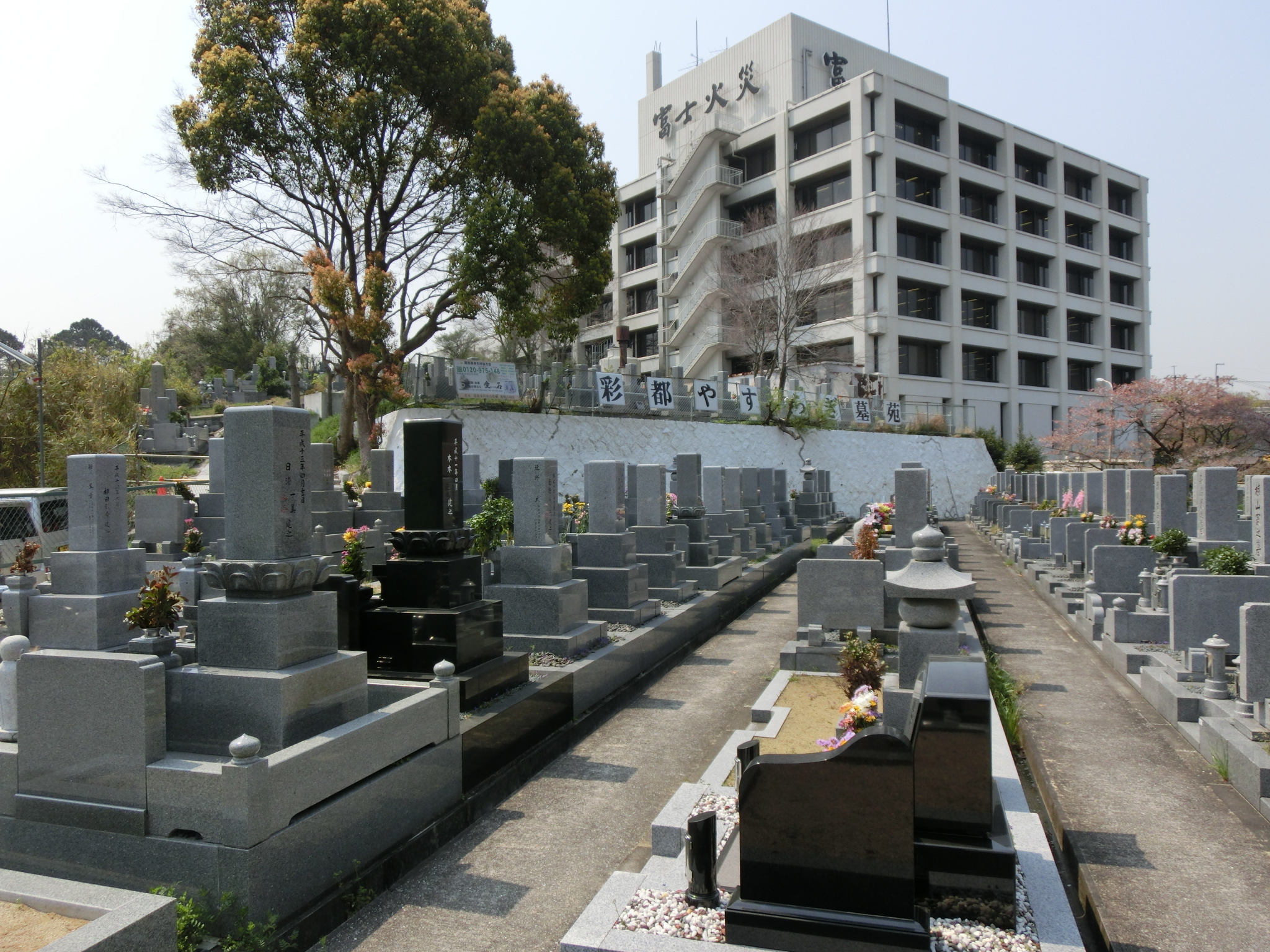 道祖本墓地の聖地