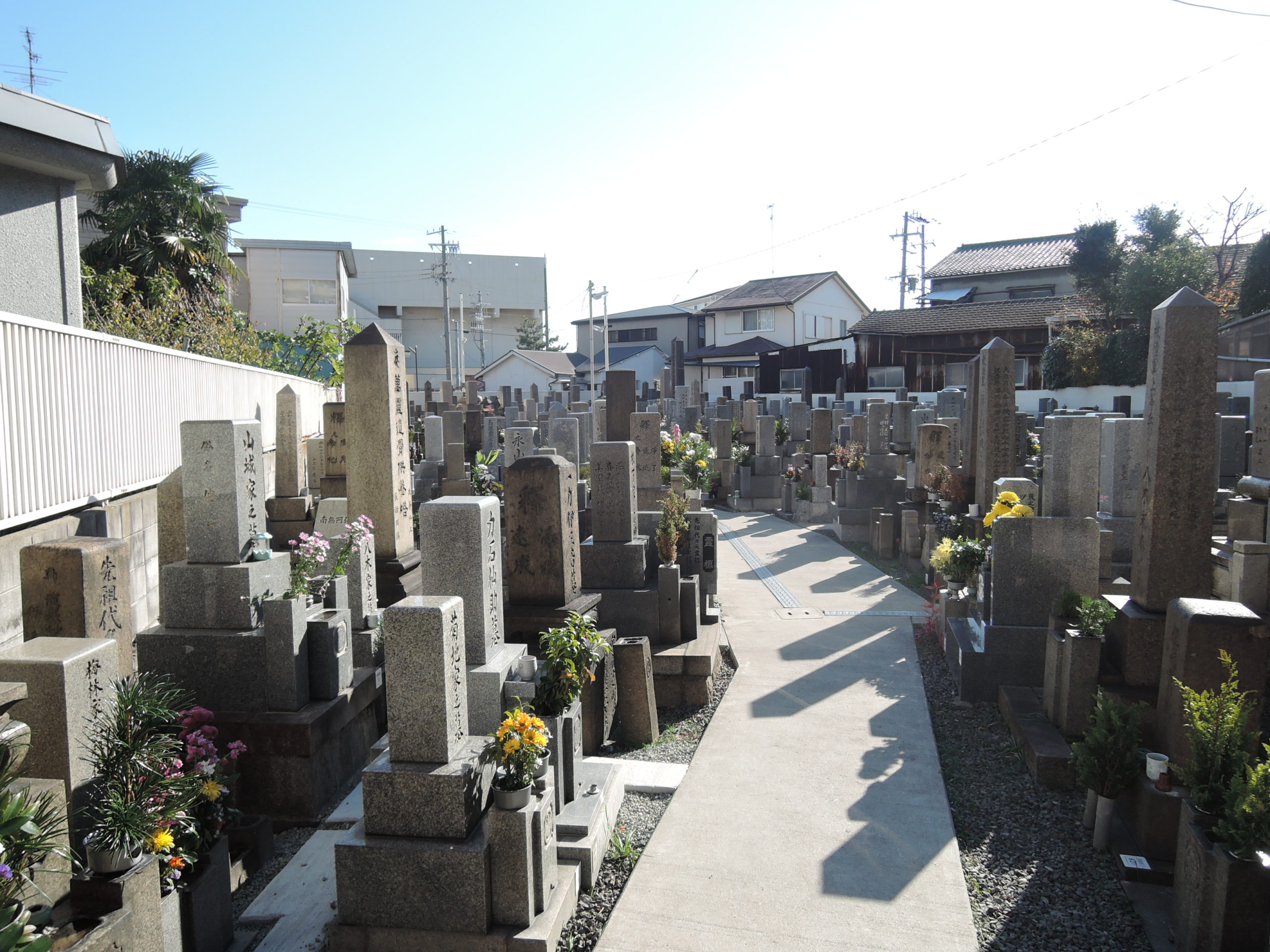 大和田墓地の聖地
