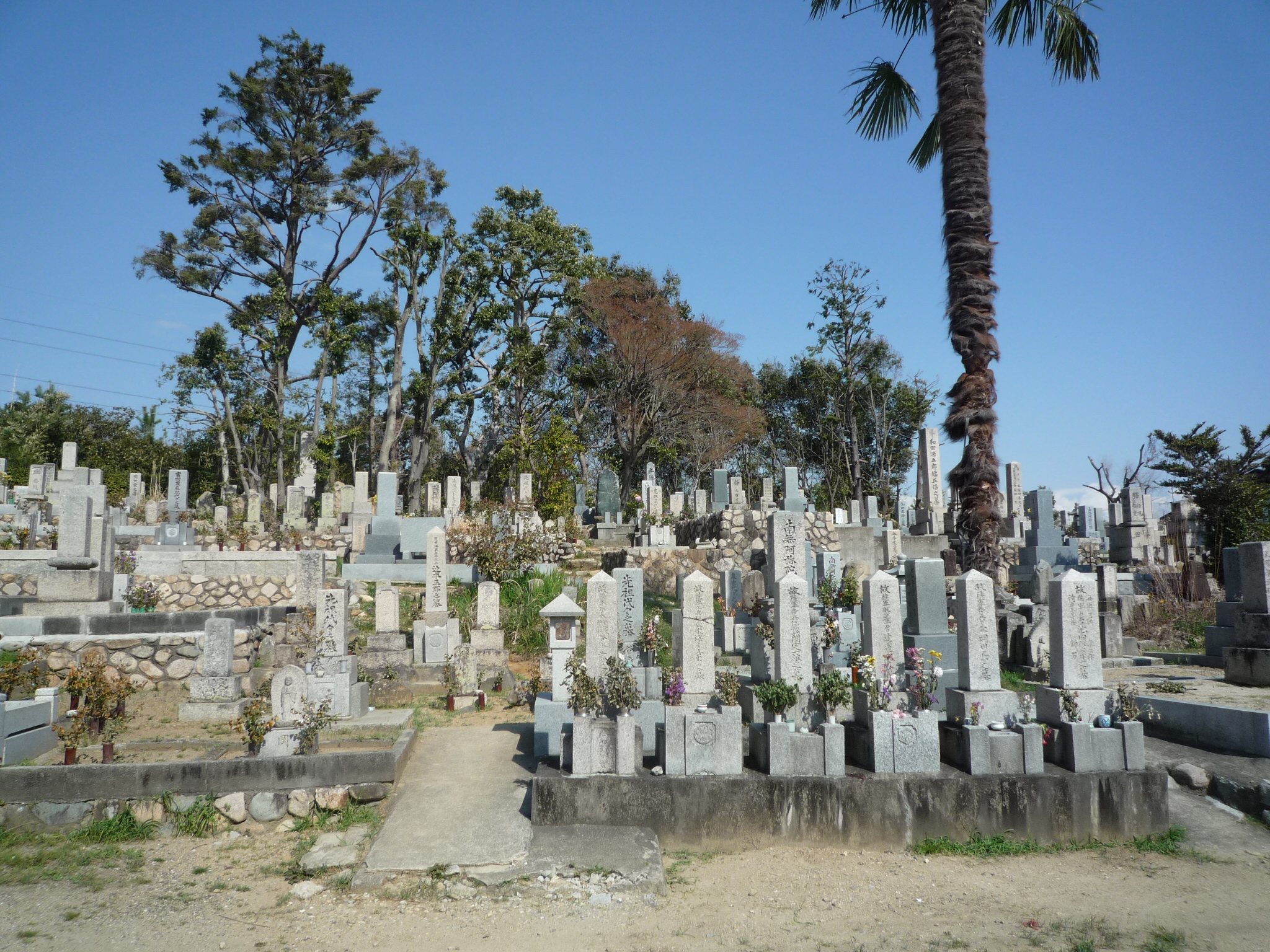 米谷墓地の聖地