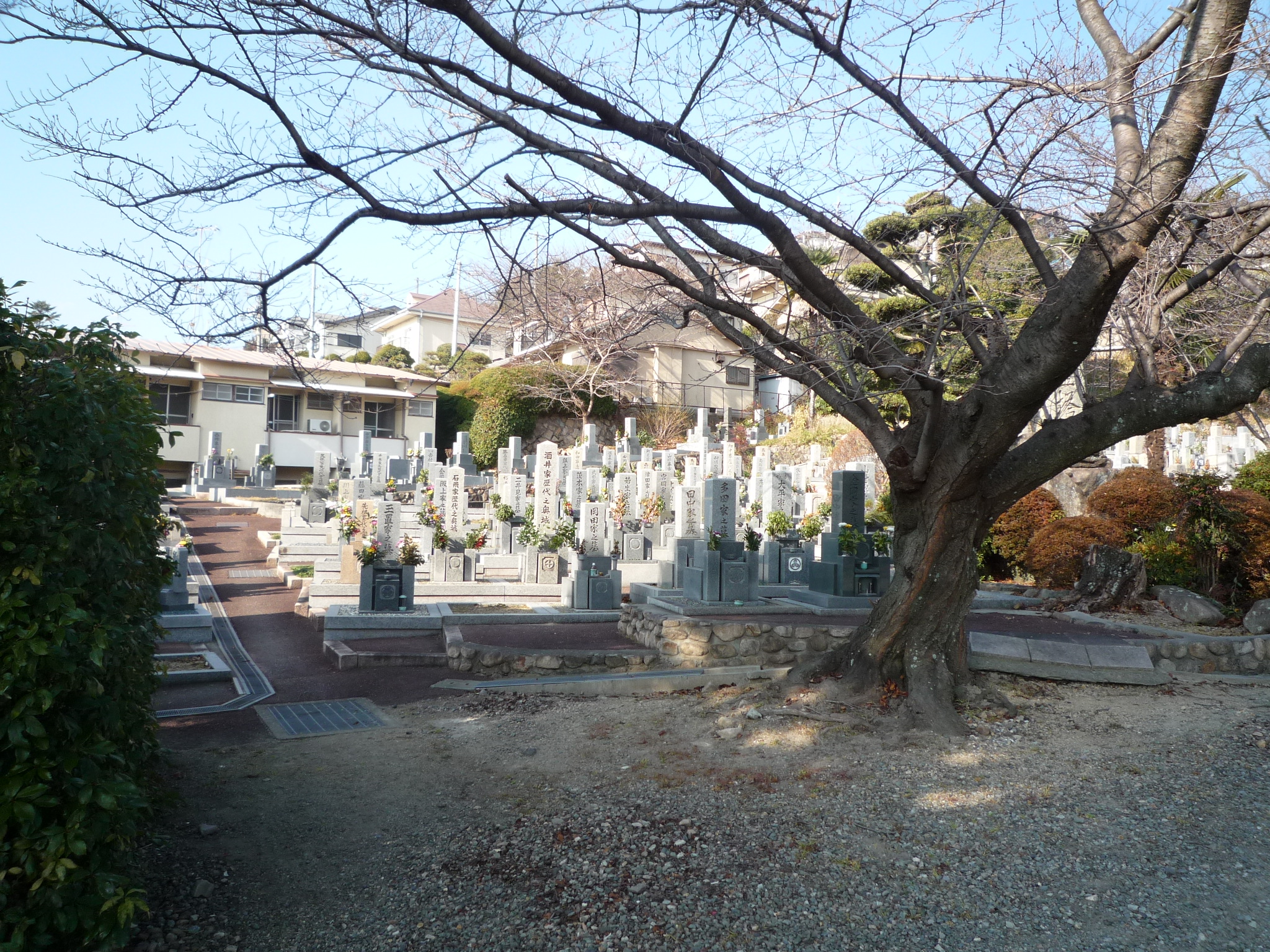才田墓地の聖地