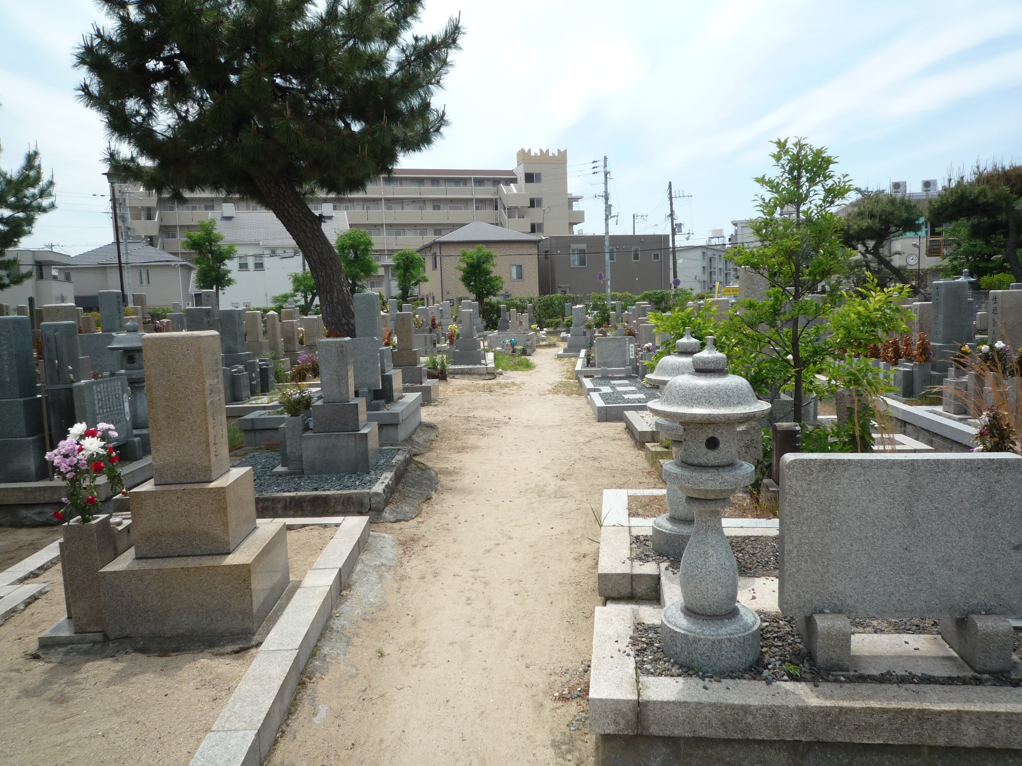 中津墓地の聖地