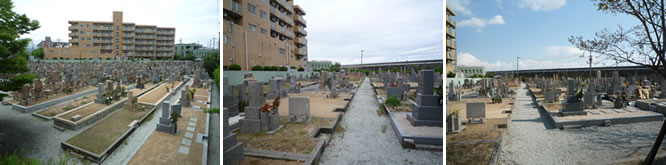 上田墓地の聖地